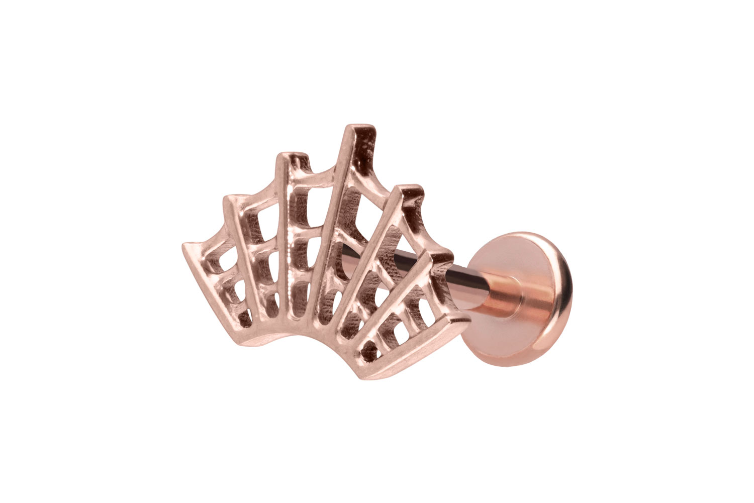 Titan Labret Piercing mit Push Fit SPINNENNETZ